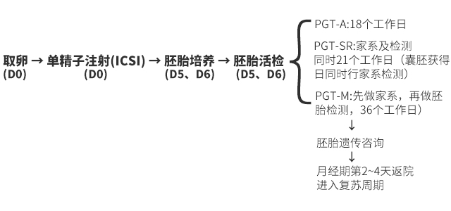 2025-3-生殖科三代-流程圖